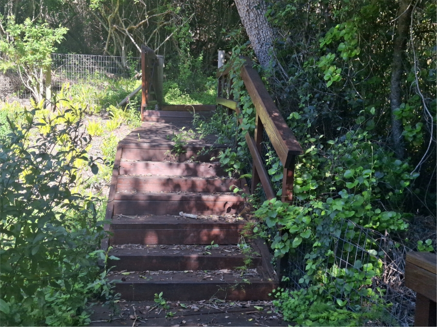 Commercial Property for Sale in Sedgefield Rural Western Cape